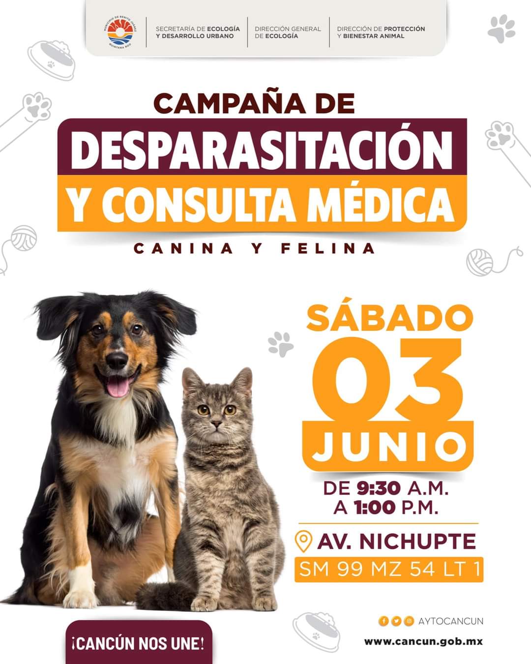 uploads/6/32/01 (52).Jpeg